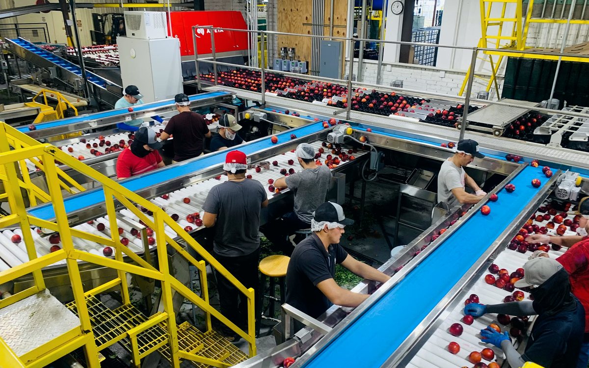 Flexible packaging for the food processing industry