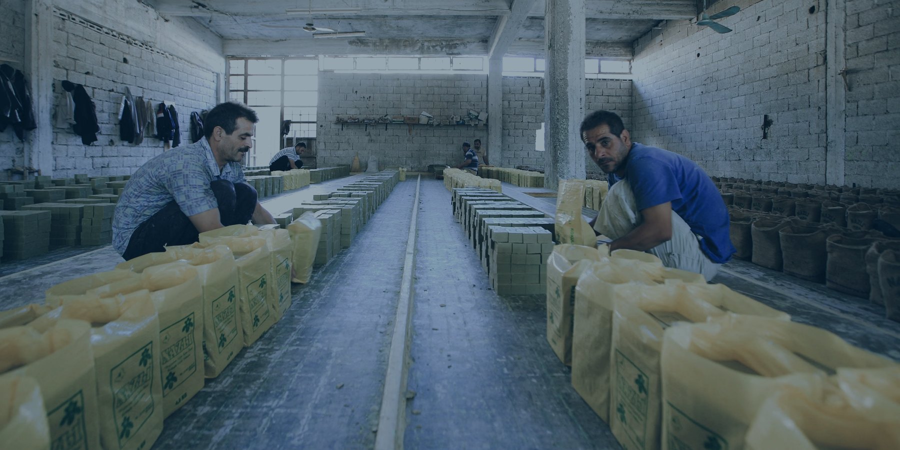 About Global Flex International — Global Flex
