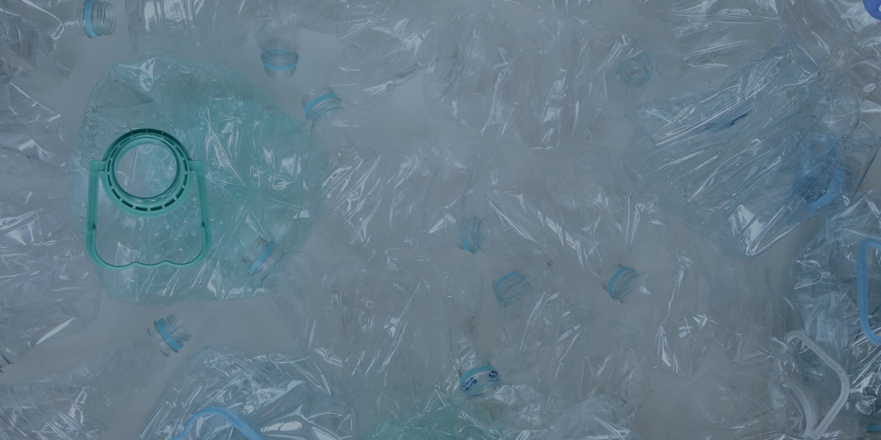 Sustainable packaging, with the limits stated out loud — Global Flex